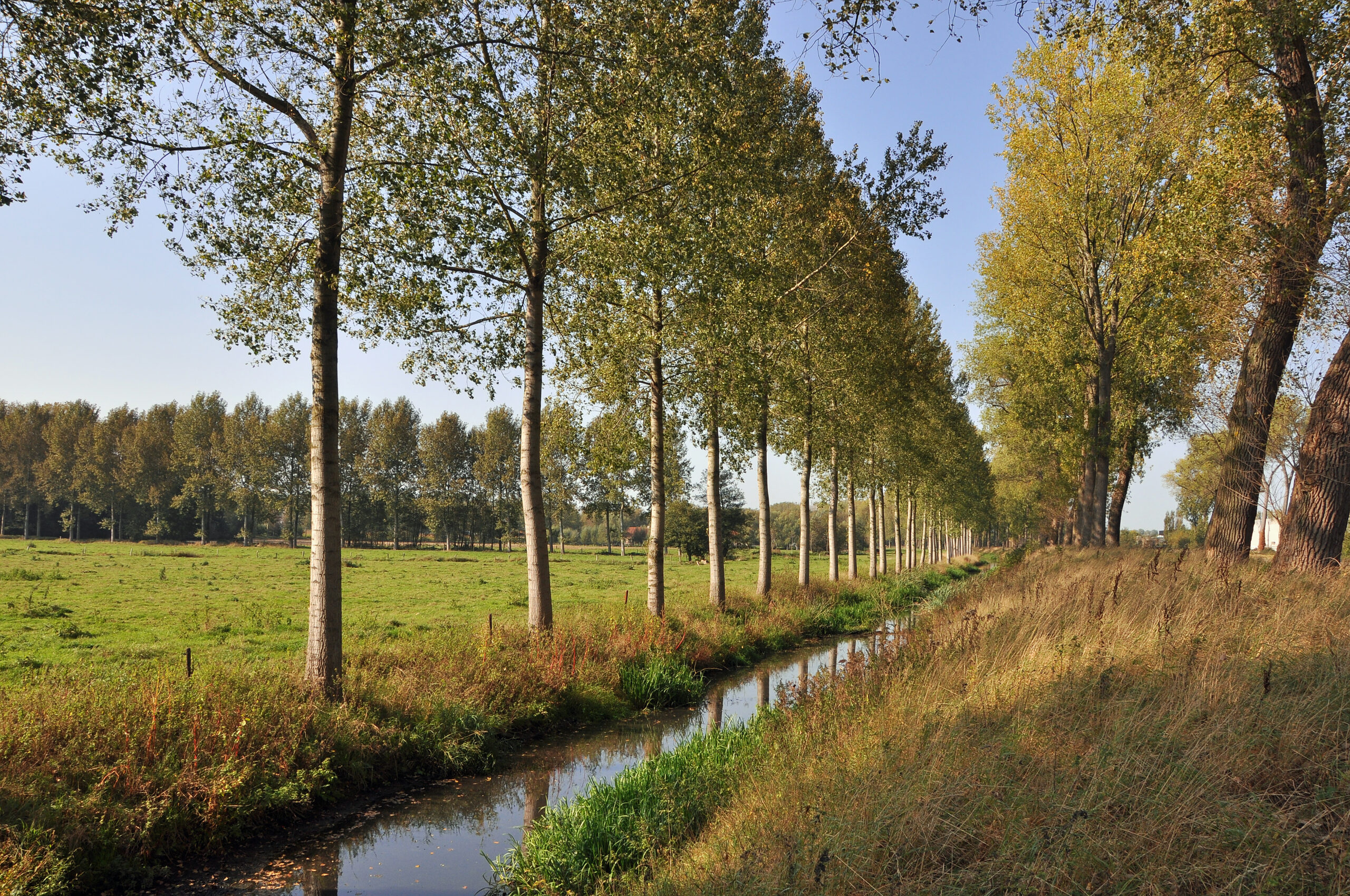 Damme cycling tour